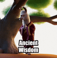 Peace Wisdom GIF by dalaillamazen