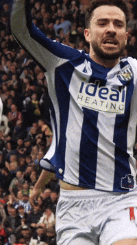 West Brom Wba GIF by West Bromwich Albion