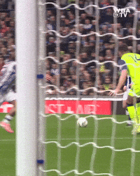 West Brom Wba GIF by West Bromwich Albion