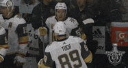 oh no ugh GIF by NHL