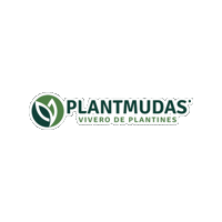 Vivero Sticker by Tecseed Brasil
