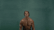 Arnold Schwarzenegger Cats GIF
