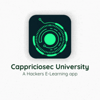 cappriciosec learning app cappriciosec cappriciosecuniversity cappricioseccom GIF