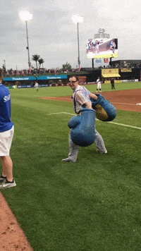baseball ushertainer GIF by St. Paul Saints