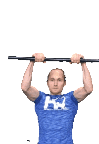 Hendrivermeer strong calisthenics pull up bodyweight Sticker