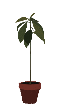 Plants Jungle Sticker