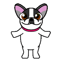 Dance Sticker