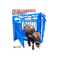 Prensa Ganaderia Sticker by Básculas Quiñonez