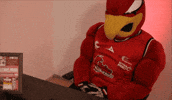 Veracruz GIF by ABJ Halcones