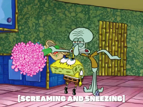 season 6 giant squidward GIF by SpongeBob SquarePants