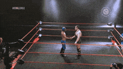 Fight Wrestling GIF by CNL Chile