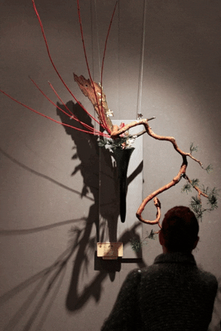 ikebanateart_do giphygifmaker ikebana ikebanateartdo 生け花 GIF