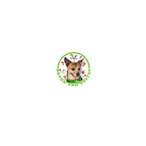 Chihuahua Sticker by Pimp Yo Pets