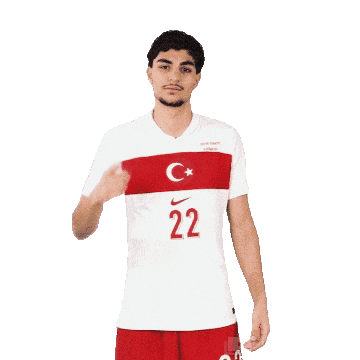 Ay Yildiz Sticker by Kaan Ayhan