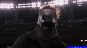 Pile On Amazon GIF by NFL On Prime Video
