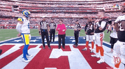Super Bowl Football GIF by NFL