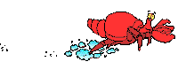 crab STICKER