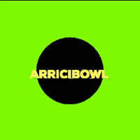 arrici arrici 아리씨 GIF