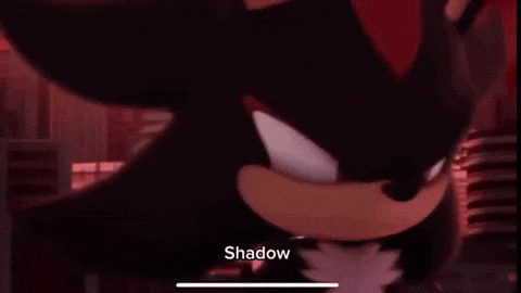 swebdev01  GIF