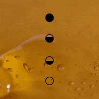 Food Honey GIF by Twin Studio