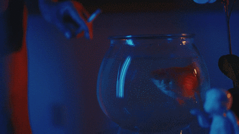errors GIF by K.I.D