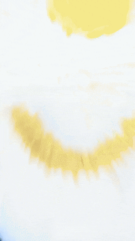 King Plushie GIF by Youtooz