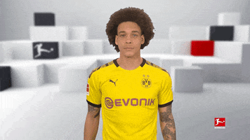 Football Soccer GIF by Bundesliga