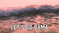 Let's Go Bama