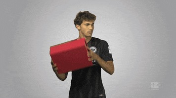 shaking santa claus GIF by Bundesliga