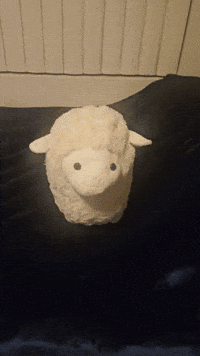 kupjuice kick sheep elsdon GIF