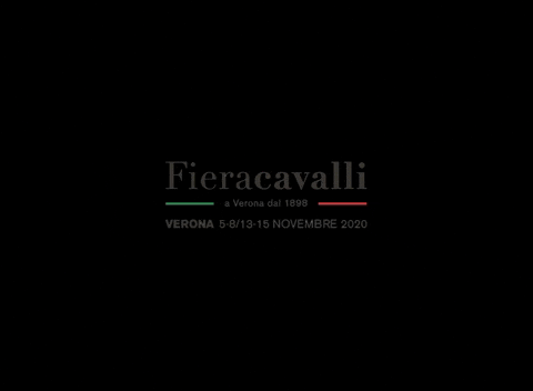 Fieracavalli Horsefriendly GIF by veronafiere