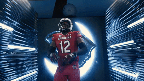 College Football GIF by gamecocksonline