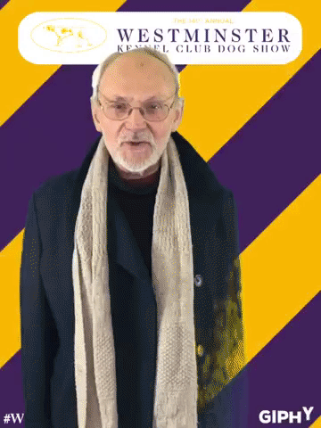 wkcdogshow GIF by Westminster Kennel Club