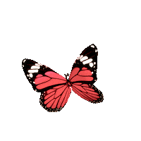 Pink Butterfly Sticker