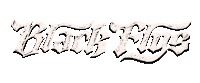 Logo Sticker by Black Flys