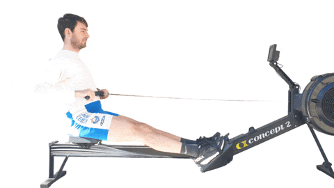 giphyupload rowing voga canottaggio rowing machine GIF