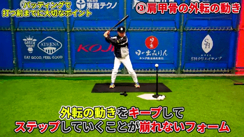 9log giphygifmaker GIF