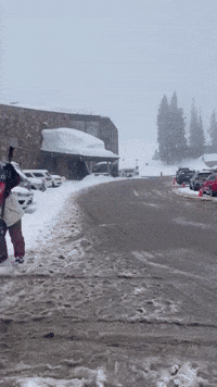 Steady Snow Slows Traffic Near Ski Resorts in Utah's Cottonwood Canyons