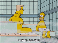 homer simpson rainer GIF