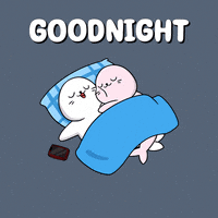 Good Night GIF by Sappy Seals