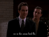 season 5 netflix GIF by Gilmore Girls 