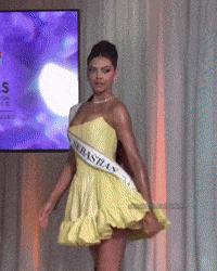 Puerto Rico Pr GIF