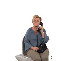 Plieger phone call toilet closet Sticker