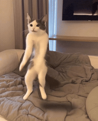 Vibing Artificial Intelligence GIF
