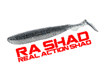 Rashad Sticker by molix