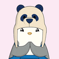 Happy Clap GIF by Pudgy Penguins