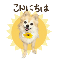 パルレオ Sticker