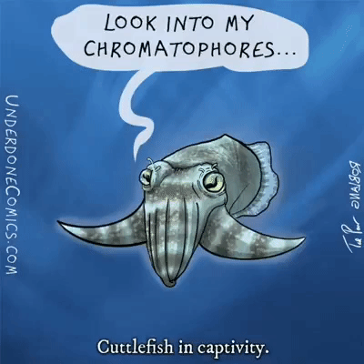 Cuttlefish Hypnosis by Underdone Comics (featuring Ted Poor)