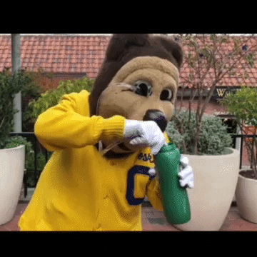 Berkeley Calgif GIF by Cal - Find & Share on GIPHY