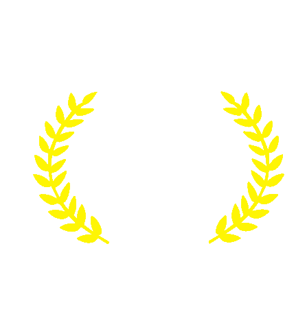 School Anglo Sticker by Colégio Suller Garcia